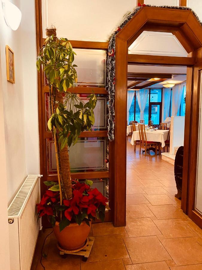 ホテル Casa Jasmine ブラショフ エクステリア 写真